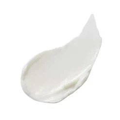 Advanced Night Repair Overnight Treatment