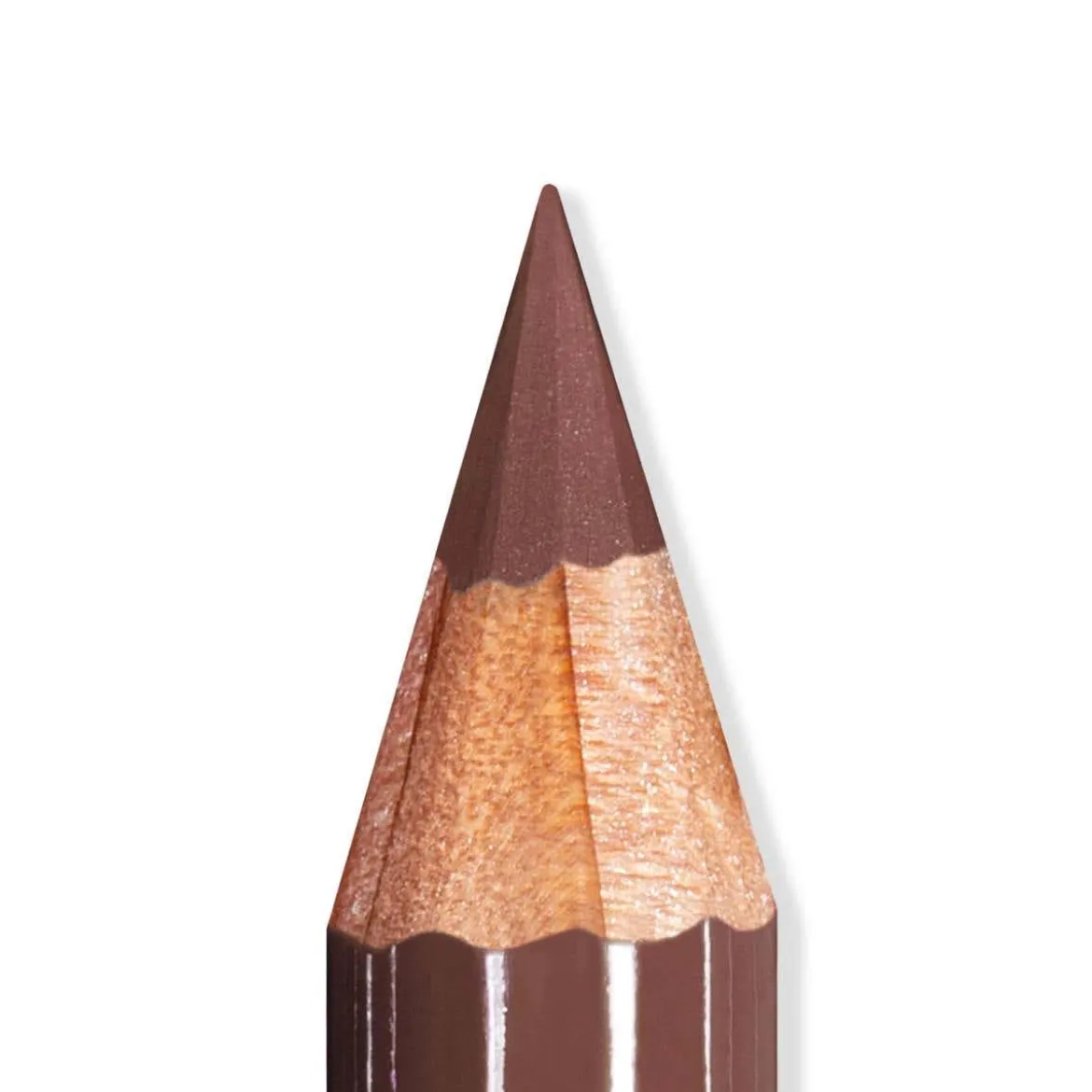 Artist Lips
