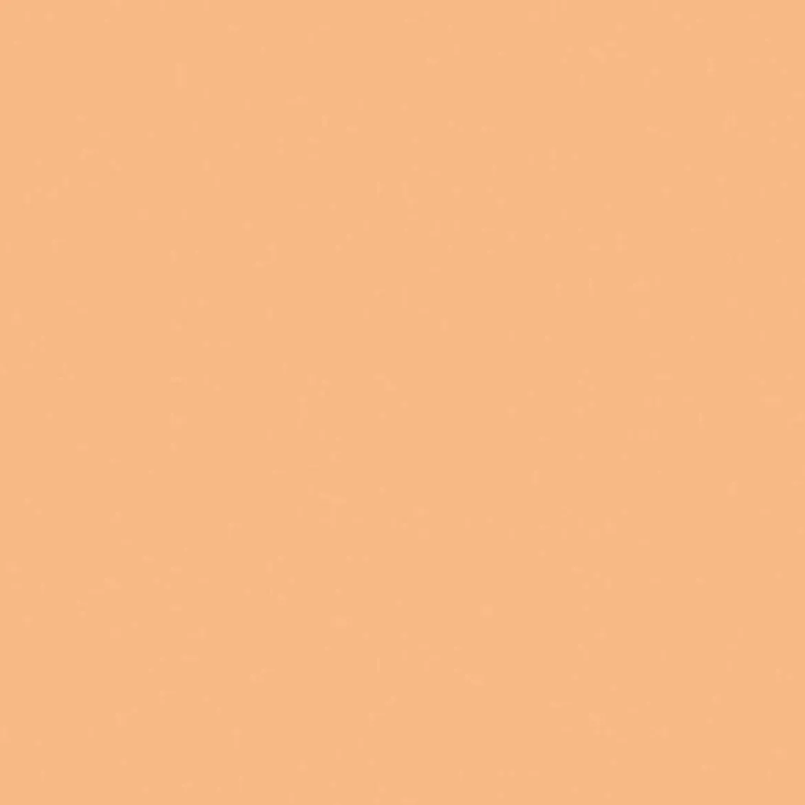 Blooming BB Foundation