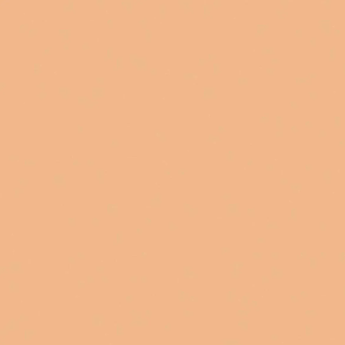 Blooming BB Foundation