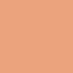 Blooming BB Foundation