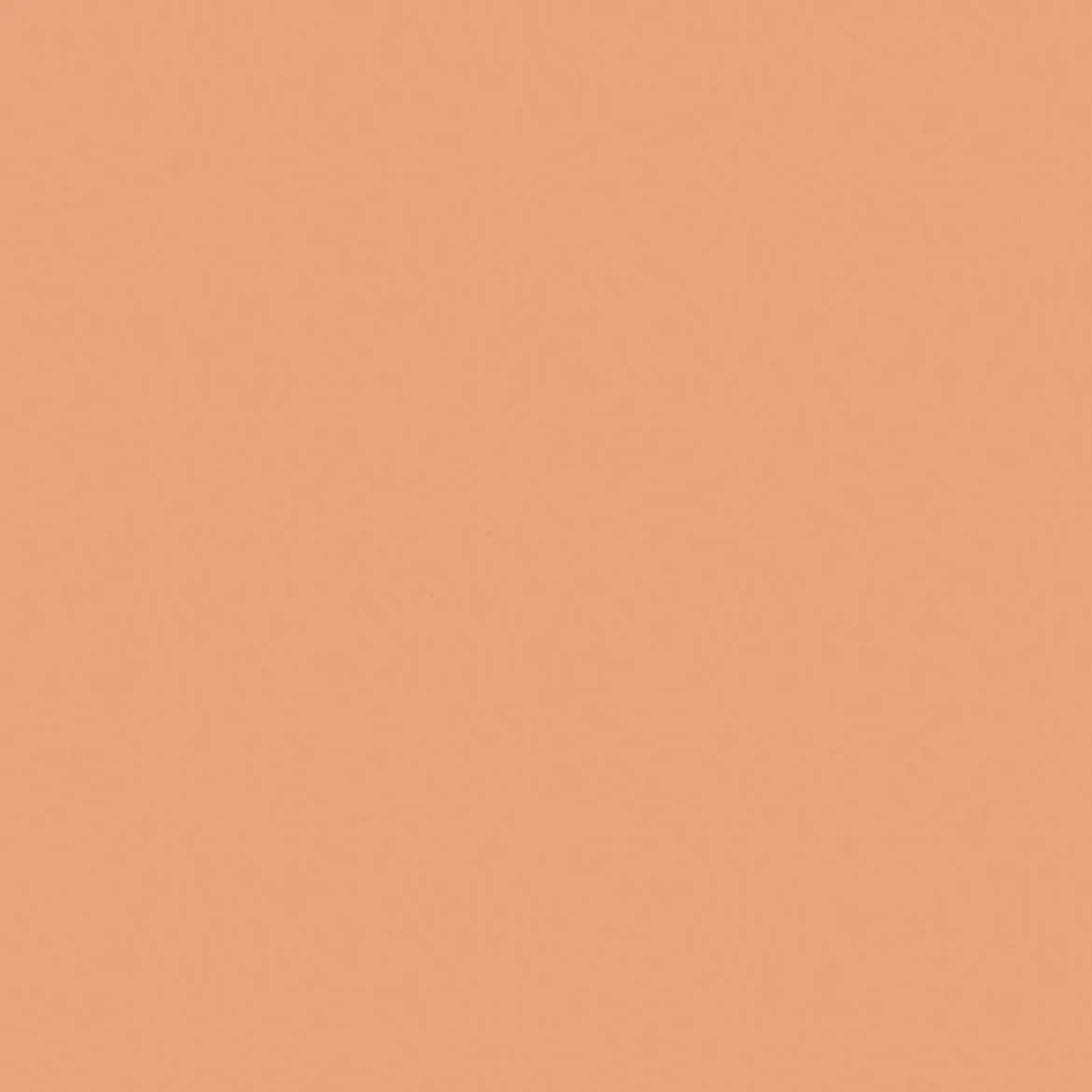 Blooming BB Foundation