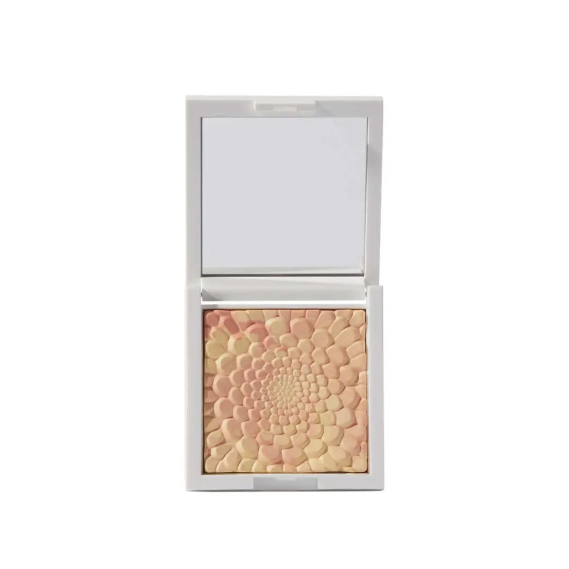 Cipria Opacizzante Blotting
