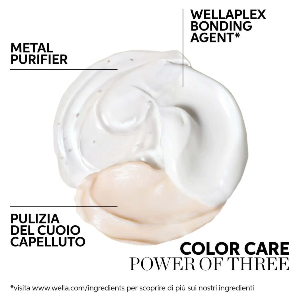 Colormotion+ Structure+ Mask