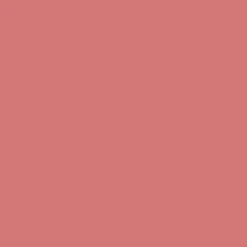 Creamy Delight Lipstick