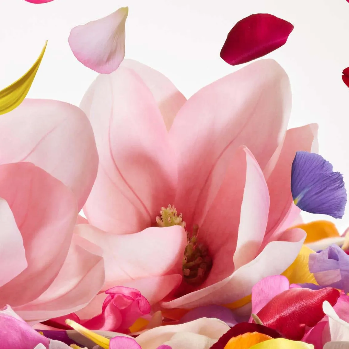 Dolce Magnolia Eau de Parfum