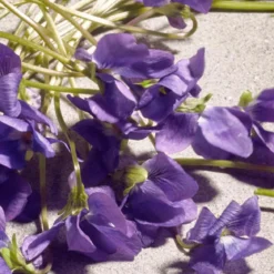Dolce Violet Eau de Toilette