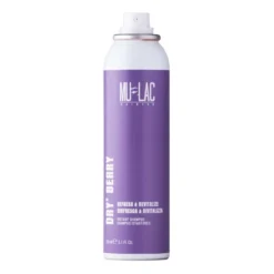 Dryberry Shampoo istantaneo