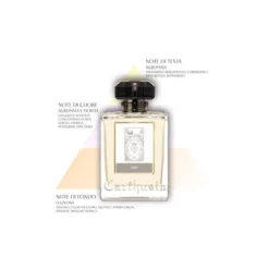 1681 Eau de Parfum