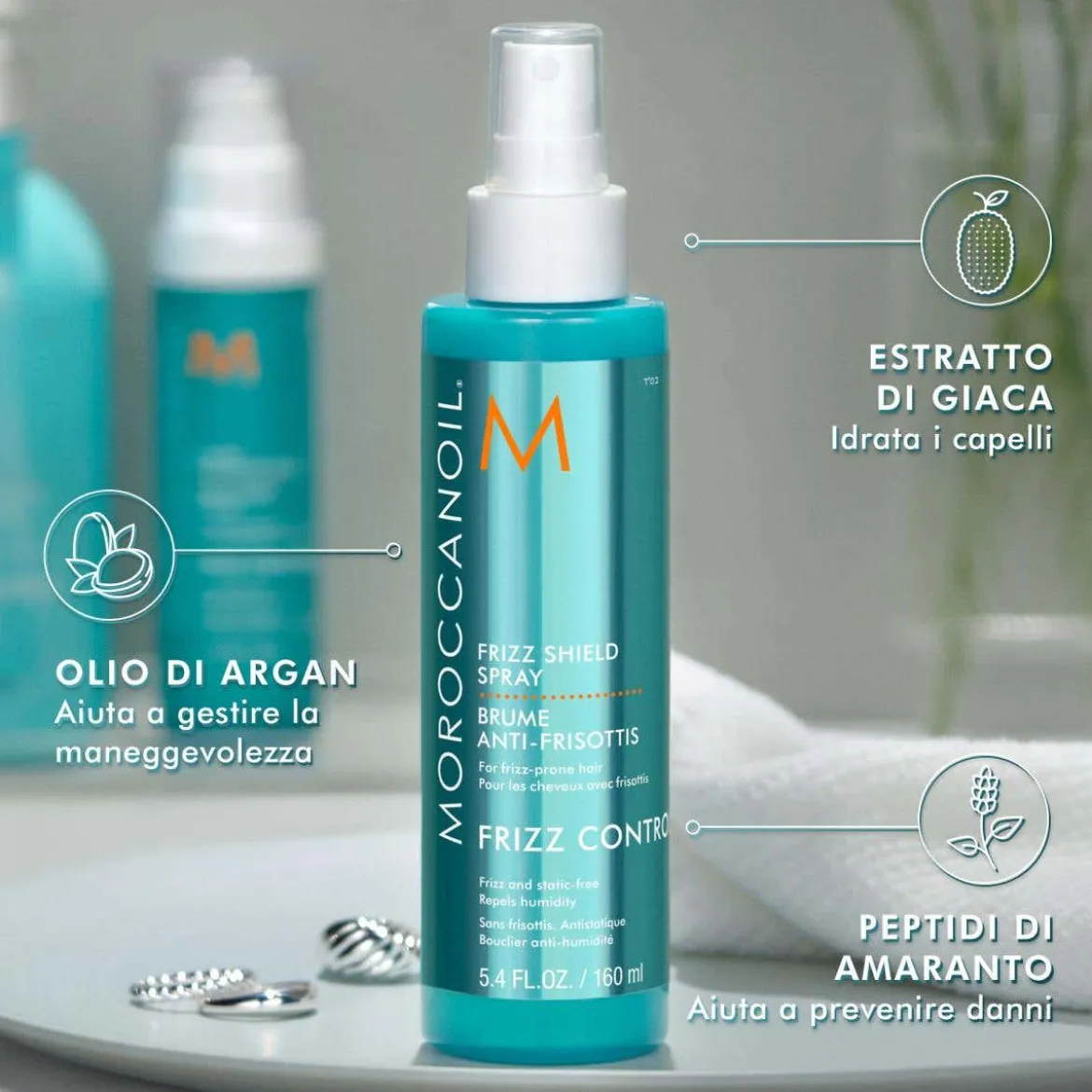 Frizz Control Frizz Shield Spray