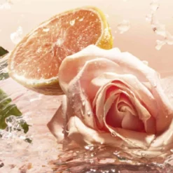 Idôle L'Eau de Toilette