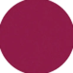 Lasting Plump Lipstick (Refill)