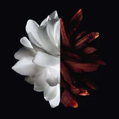L'Interdit Rouge Eau de Parfum