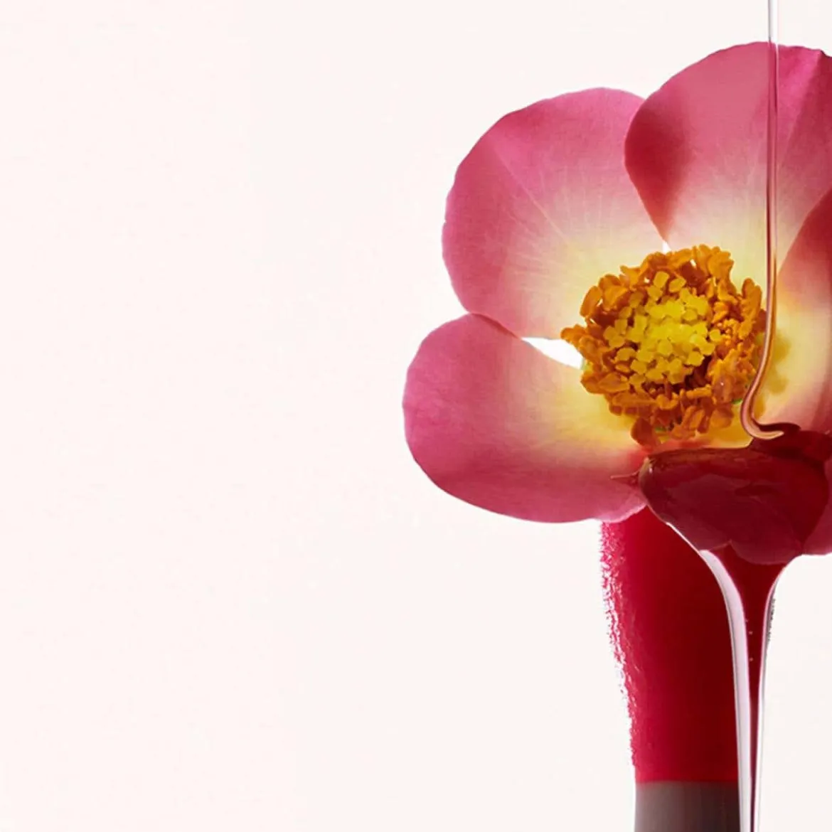 Lip Comfort Oil - Edizione Limitata
