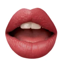 Madame Lip Stylo The Mat