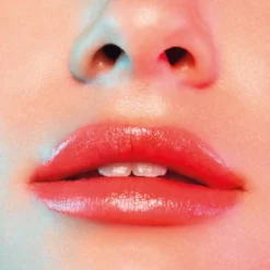 Madame Lip Stylo The Sheer