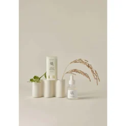 Matte sun stick: mugwort + camilia (SPF 50+ PA++++)