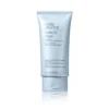 Perfectly Clean multi-action foam cleanser/purifying mask