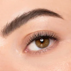 Pure Beauty Brow Pencil