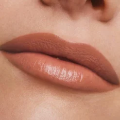Pure Color Creme Lipstick