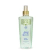 Raunaq Body Splash