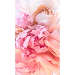 Rose Goldea blossom delight hair mist