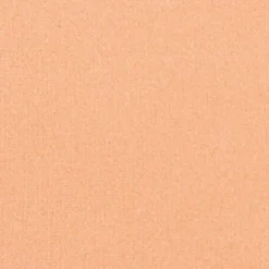 Silk feel Wet & dry Powder Foundation
