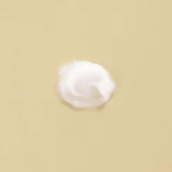 Snail Wrinkle Care Sleeping Pack