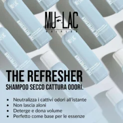 The Refresher Shampoo secco