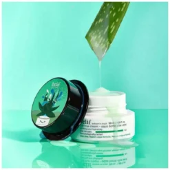 The True Cream Aqua Bomb Aloe Vera